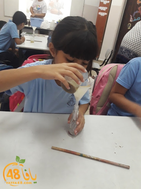 cimikal day (39).jpg